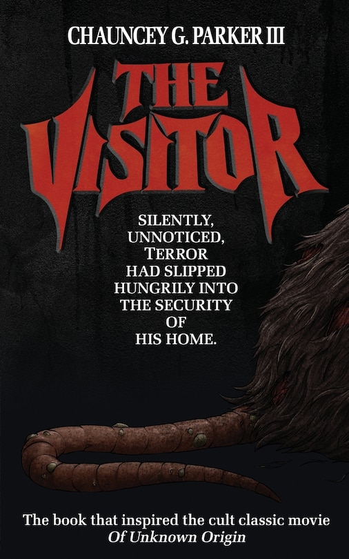 Couverture_The Visitor