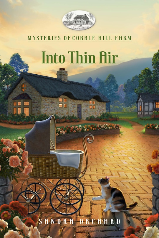 Front cover_Into Thin Air