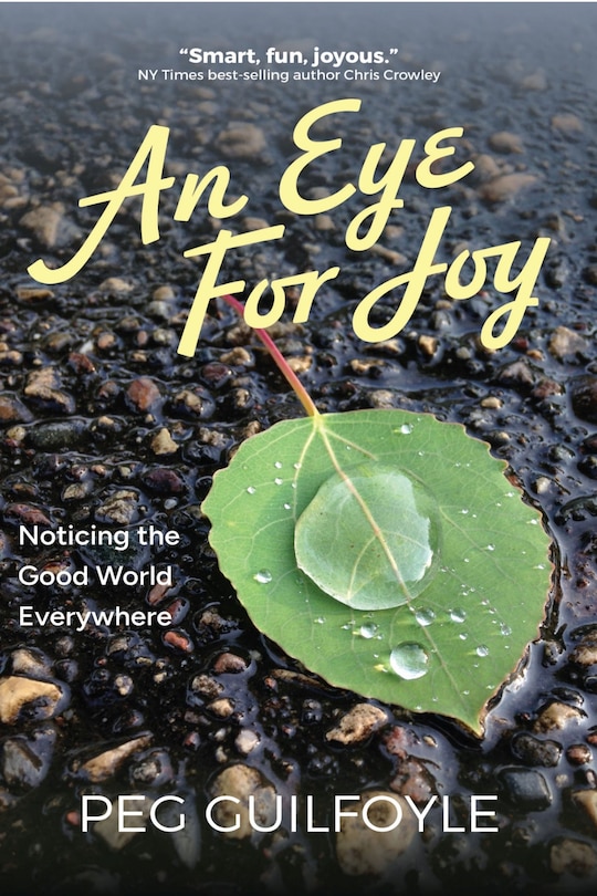 Front cover_Eye For Joy
