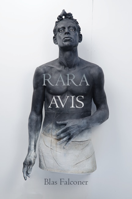 Front cover_Rara Avis