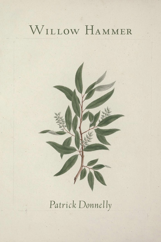 Couverture_Willow Hammer