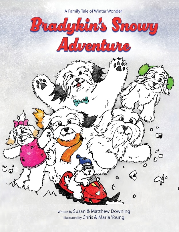 Front cover_Bradykin's Snowy Adventure