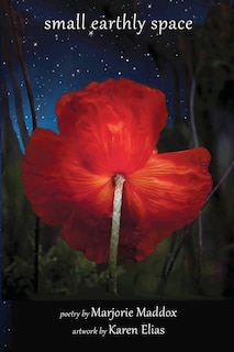 Front cover_Small Earthly Space