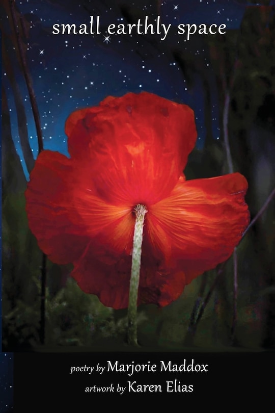 Front cover_Small Earthly Space