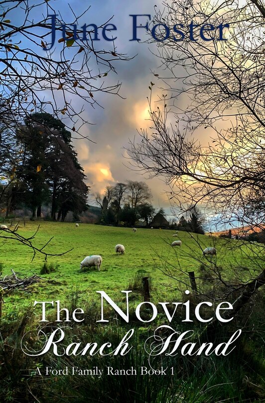 Couverture_The Novice Ranch Hand