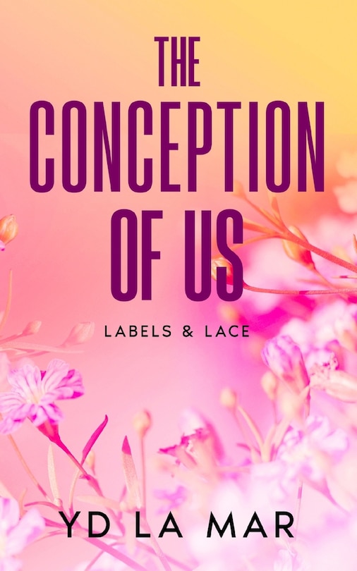 Couverture_The Conception of Us