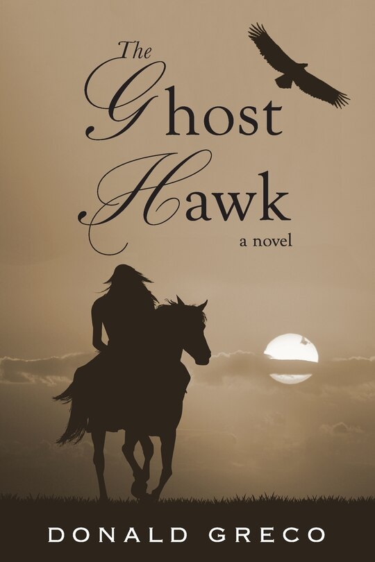 Couverture_The Ghost Hawk