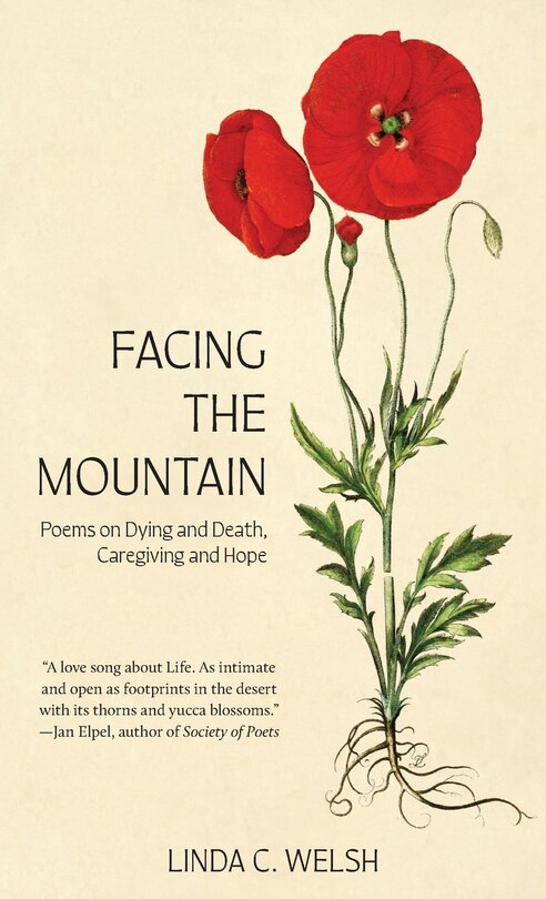 Couverture_Facing the Mountain