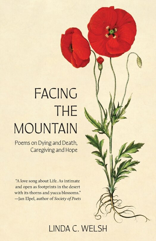 Front cover_Facing the Mountain