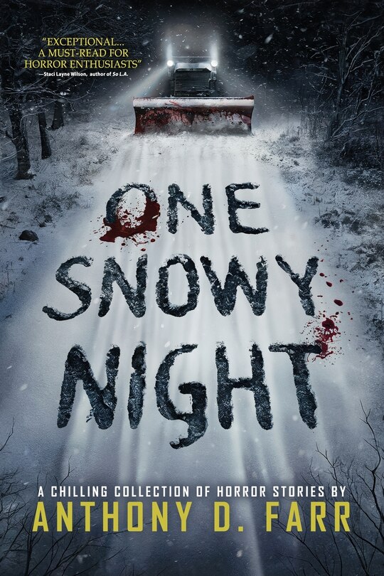 Front cover_One Snowy Night