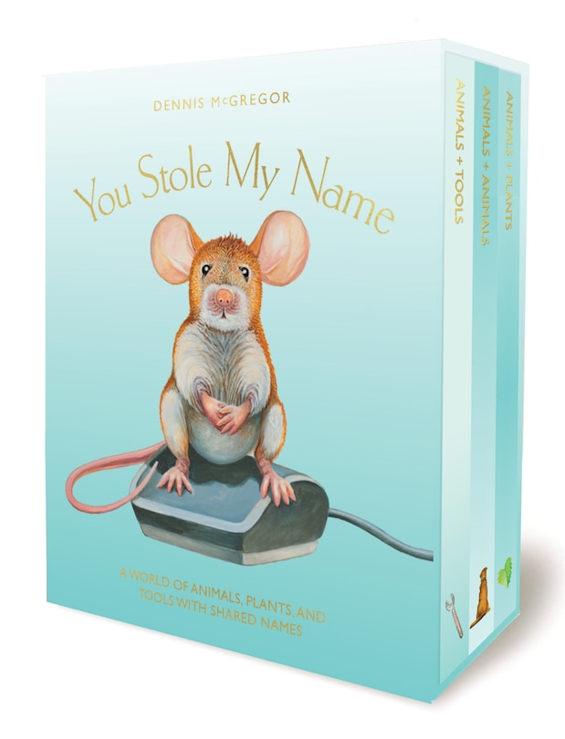 Couverture_You Stole My Name Board Book Box Set