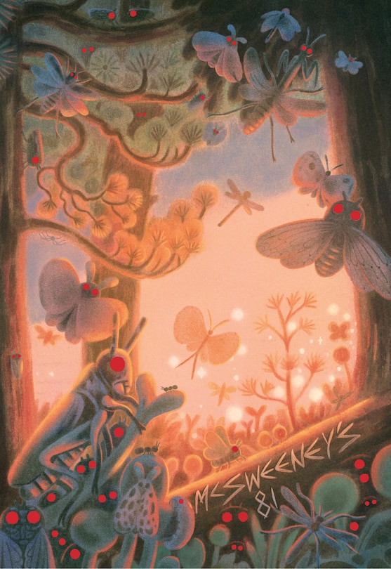 Front cover_McSweeney's Issue 81 (McSweeney's Quarterly Concern)