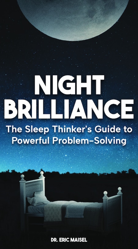 Couverture_Night Brilliance