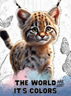 Front cover_The world has lost it's colors