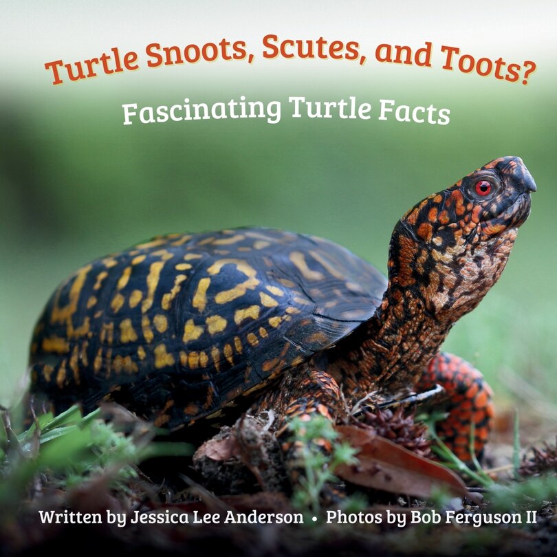 Couverture_Turtle Snoots, Scutes, and Toots? Fascinating Turtle Facts