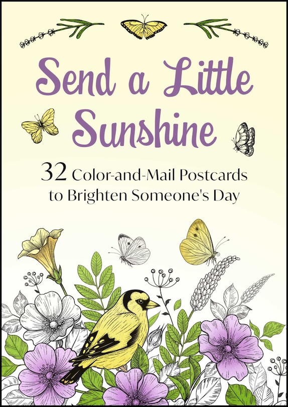 Couverture_Send a Little Sunshine