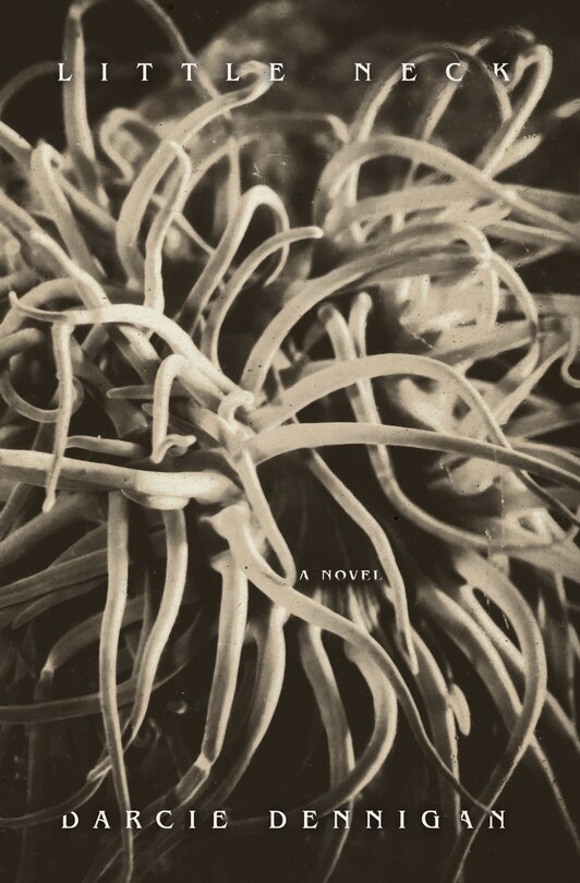 Front cover_Little Neck