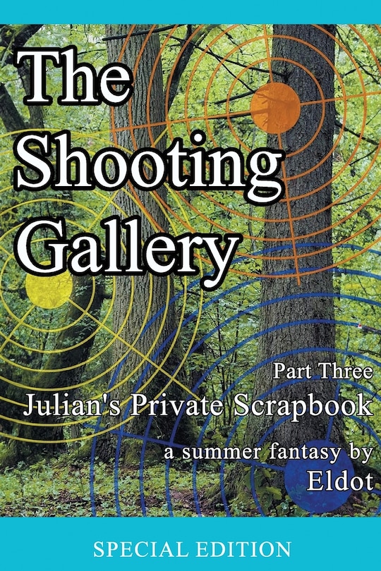 Couverture_The Shooting Gallery