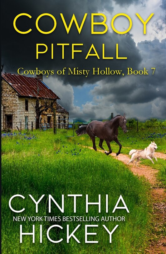 Couverture_Cowboy Pitfall