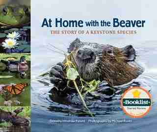 At Home With The Beaver: The Story Of A Keystone Species by Dorothy Hinshaw Patent