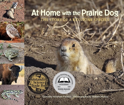 At Home with the Prairie Dog: The Story of a Keystone Species