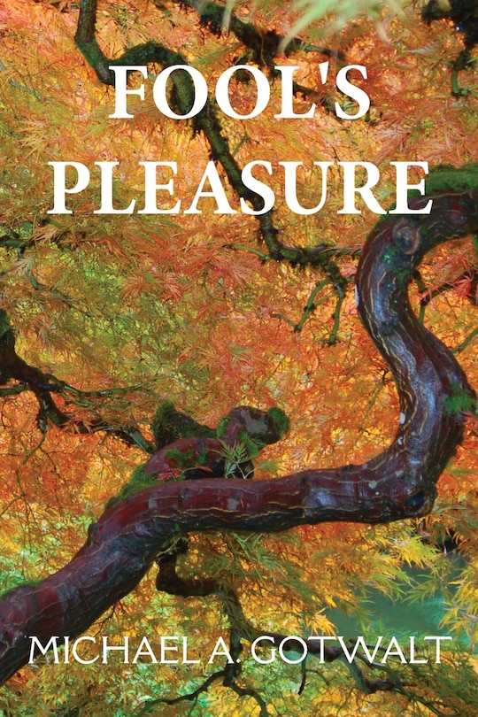 Front cover_Fool's Pleasure