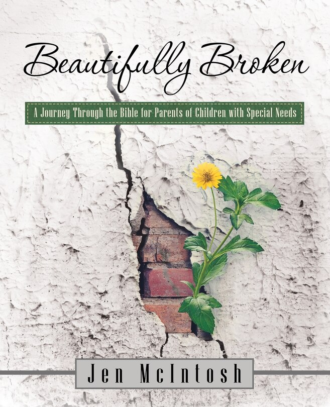 Couverture_Beautifully Broken