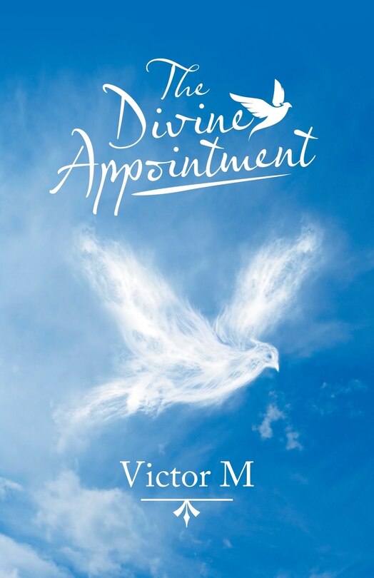 Couverture_The Divine Appointment