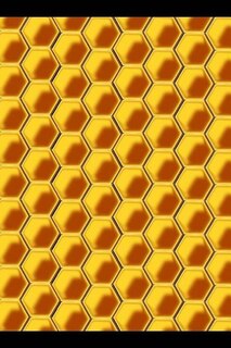 Bee Keeping: Notebook