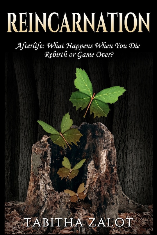 Front cover_Reincarnation
