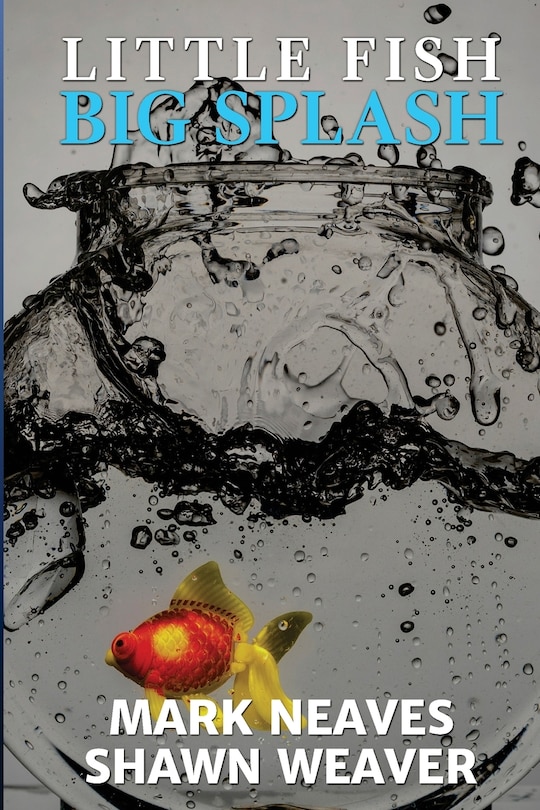 Front cover_Little Fish, Big Splash