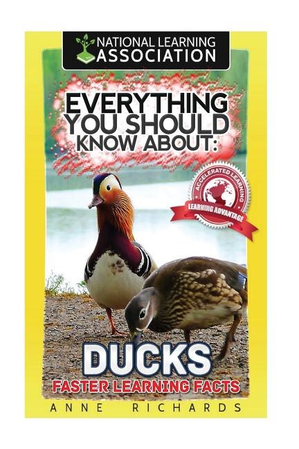 Couverture_Everything You Should Know About