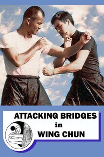 Front cover_Attacking bridges in Wing Chun