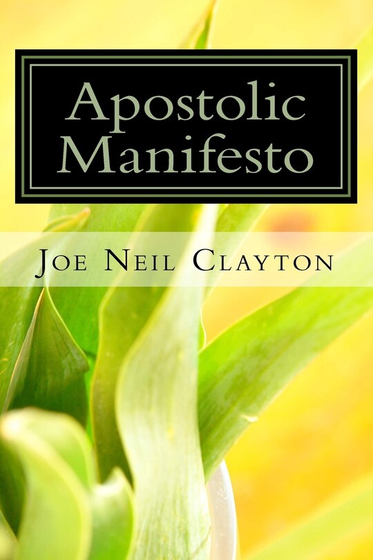 Apostolic Manifesto: A concise commentary on the book of Romans