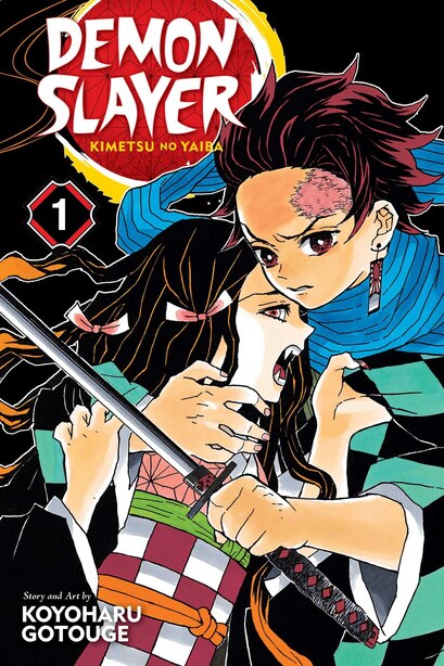 Demon Slayer Kimetsu No Yaiba Vol 1 Book By Koyoharu Gotouge Paperback Www Chapters Indigo Ca