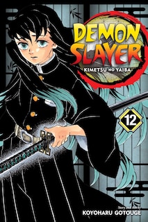 Front cover_Demon Slayer: Kimetsu No Yaiba, Vol. 12