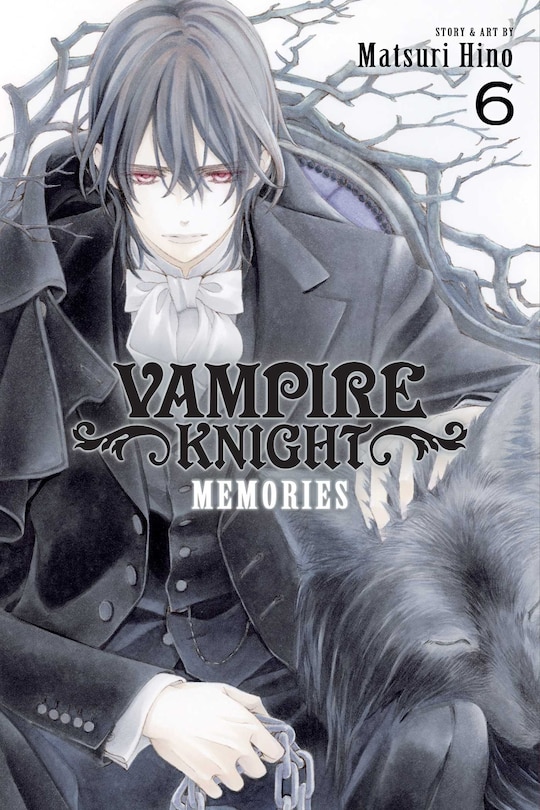 Front cover_Vampire Knight: Memories, Vol. 6