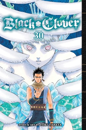 Black Clover, Vol. 30