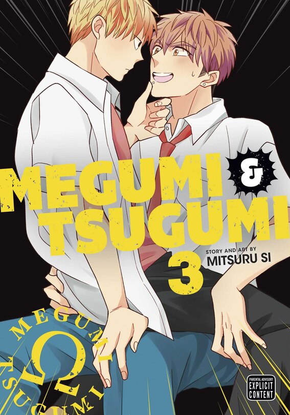 Front cover_Megumi & Tsugumi, Vol. 3