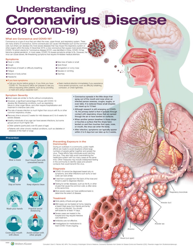 Front cover_Understanding Coronavirus Disease 2019 (COVID-19) Anatomical Chart