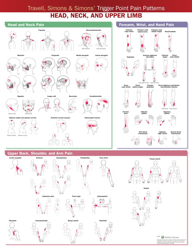 Front cover_Travell, Simons And Simons' Trigger Point Pain Patterns Wall Chart