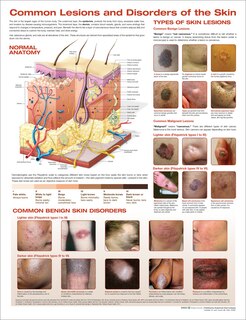 Front cover_Common Lesions and Disorders of the Skin Anatomical Chart