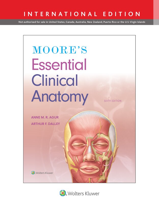 Front cover_Moore's Essential Clinical Anatomy 7e Lippincott Connect International Edition Print Book and Digital Access Card Package