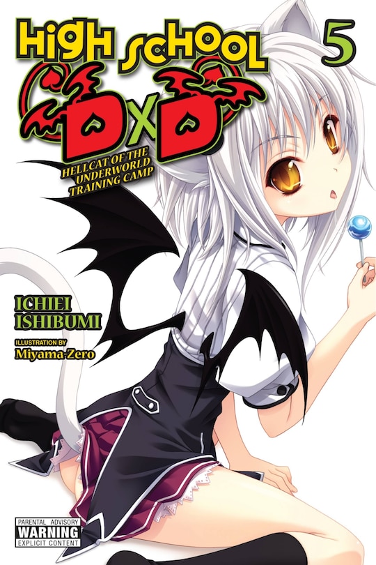 Front cover_High School Dxd, Vol. 5 (light Novel)