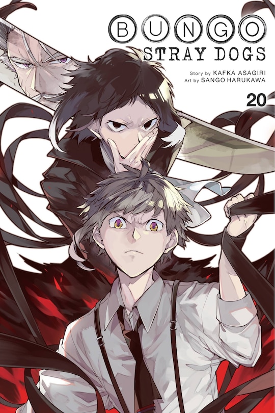 Front cover_Bungo Stray Dogs, Vol. 20