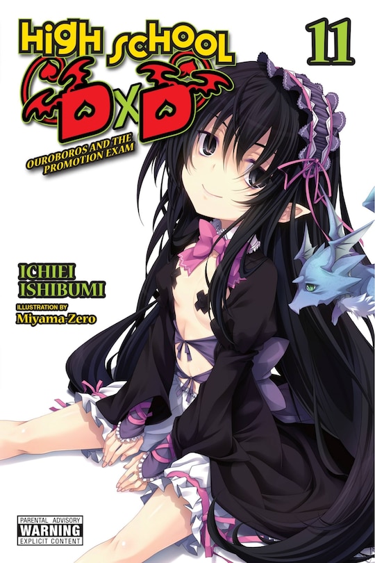 Front cover_High School DxD, Vol. 11 (light novel)