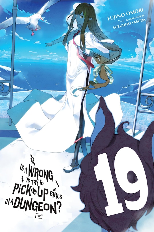 Couverture_Is It Wrong to Try to Pick Up Girls in a Dungeon?, Vol. 19 (light novel)