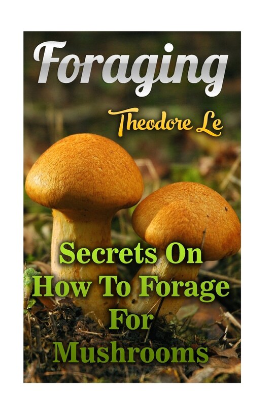 Couverture_Foraging