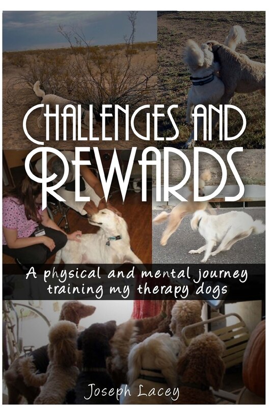 Front cover_Challenges and Rewards -