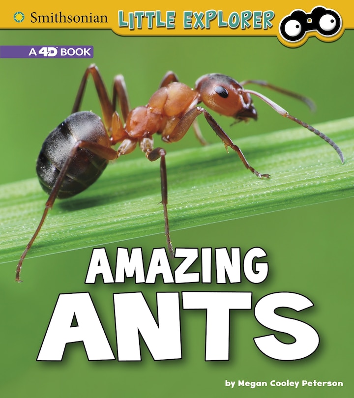 Couverture_Amazing Ants